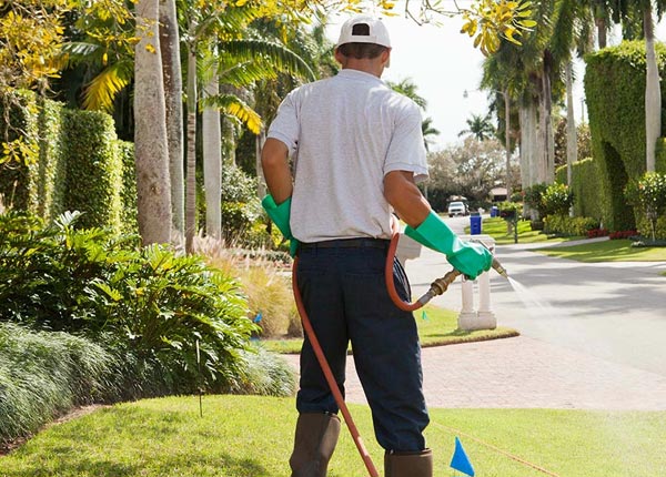 About Statesville NC Pest Control Pros
